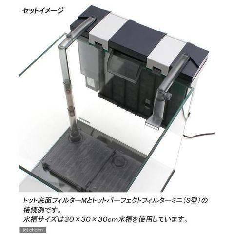 dショッピング |トット 底面フィルター Ｍ ３０ｃｍ水槽用底面フィルター 関東当日便 | カテゴリ：フィルターの販売できる商品 | チャーム  (02398209)|ドコモの通販サイト