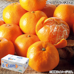 【お歳暮のし付き】三ヶ日みかん　３ｋｇ 送料込み