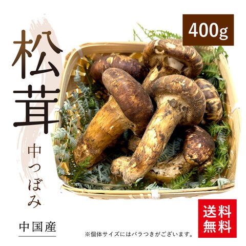 dショッピング |松茸400g（中つぼみ・中国産）天然 ギフト お取り寄せ