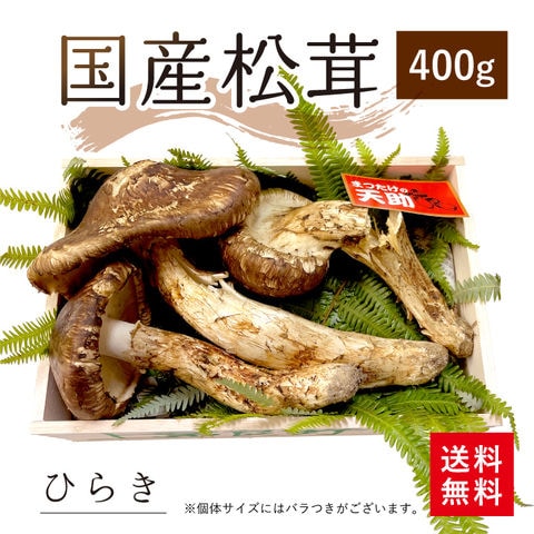 岡山県産 極上松茸6本461g 10/8採取 - 野菜
