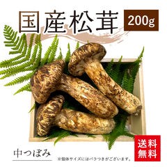 dショッピング |国産松茸400g（つぼみ）天然 ギフト お取り寄せグルメ