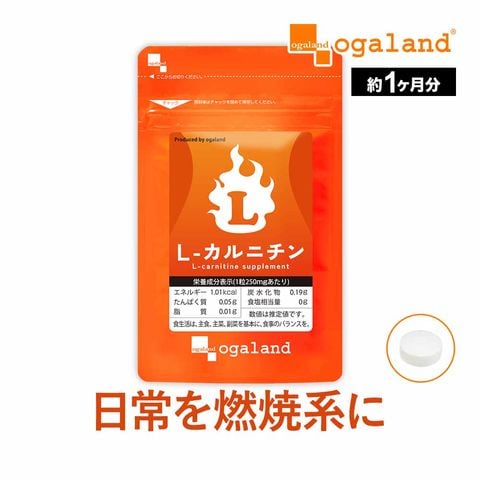 Ｌ-カルニチン（約1ヶ月分） 送料無料 サプリ サプリメント ダイエット Lカルニチン 配合  BCAA アミノ酸 や α-リポ酸 や コエンザイムQ10 と併用◎ l-カルニチンフマル酸塩 1000円ポッキリ