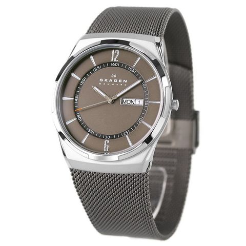 新品 未使用 稼働品 スカーゲン SKAGEN ソーラー腕時計 育ん