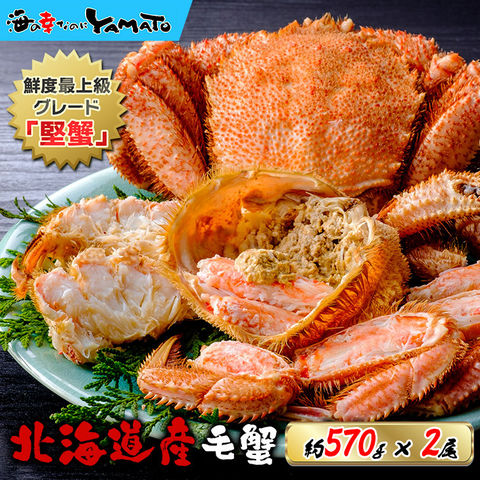 北海道産 毛蟹 570gサイズ×2尾入