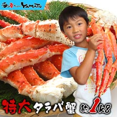 今年は蟹が安い！特大タラバガニ 脚 1kg 獲れたて鮮度の船上凍結