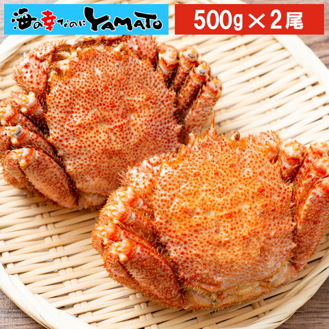 【数量限定￥9999⇒￥7,999】北海道産 毛蟹 500gサイズ×2尾入 1kg