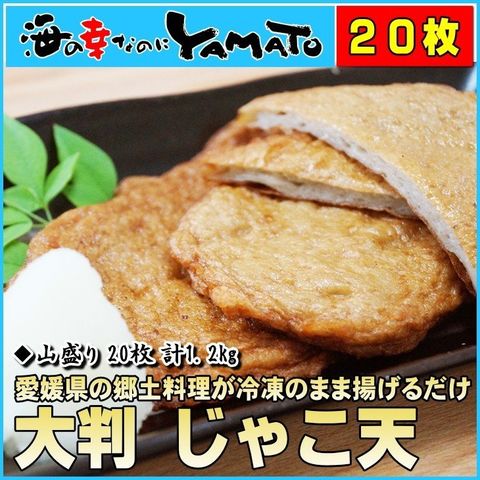 じゃこ天 1枚60g×20枚入り 山盛り1,2kg じゃこてんぷら 天麩羅