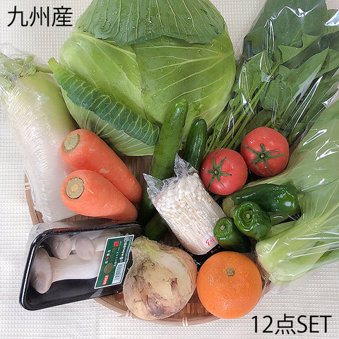 12品目 九州野菜セット