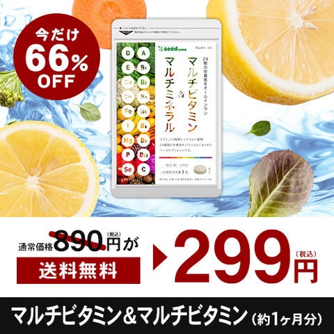 送料無料　特価　夏疲労ケアセール　６６％引　不足しがちな栄養素　まとめて補う　13種のビタミン　11種のミネラル　マルチビタミン&マルチミネラル　約１ヶ月分　￥２９９　通常８９０円　お試し　ギフトにも最適　お一人様12ケ迄
