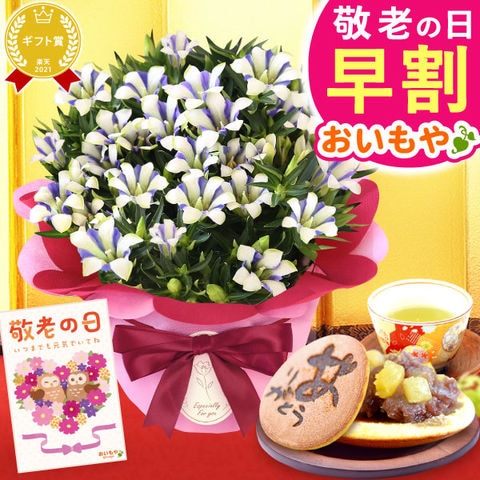 ＼今の早割8月23日まで！／ 敬老の日 お菓子 プレゼント 鉢植え 花 ギフト 鉢植え りんどう5号鉢【白寿＋どら焼き2個セット】 スイーツ 贈り物 お菓子 プレゼント ◆敬老の日◆ ※ご指定不可。9/18～21いずれかにお届け