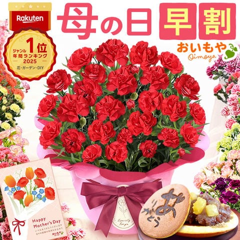 ＼今だけ超早割！／ 母の日 ギフト プレゼント 花 鉢植え 鉢花カーネーション【感謝の気持ち・赤】 感謝のどら焼きセット hachihana 送料無料 ◆母の日◆ 母の日WEEK5月4日～10日お届け※ご指定不可