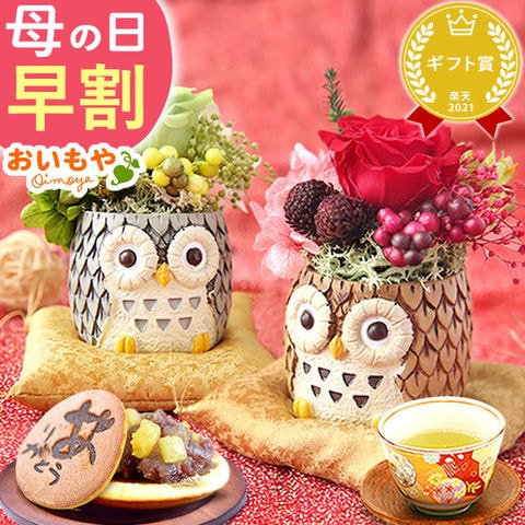 ＼今だけ早割！／ 母の日 ギフト プレゼント お菓子 スイーツ プリザーブドフラワー 一寸ふくろうペア【茶】＆【グレー】 issunC 送料無料   ◆母の日◆ 母の日WEEK5月4日～10日お届け※ご指定不可