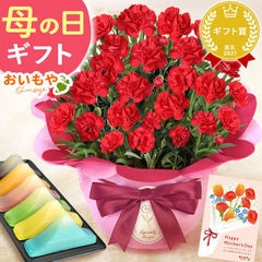 母の日ギフト カーネーション 選べるスイーツセット+富士山羊羹