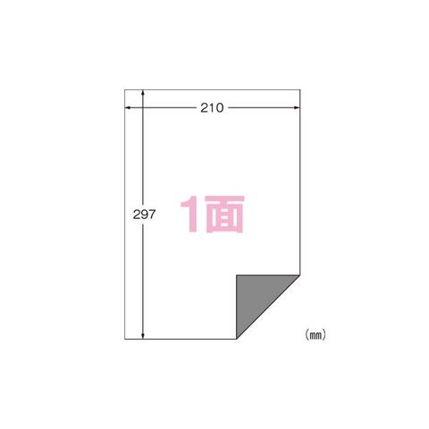 エーワン ラベルシール〈プリンタ兼用〉下地がかくせる修正タイプ マット紙（A4判） 100枚入 31282 100枚 AV デジモノ パソコン  周辺機器 用紙 ラベル【同梱不可】【代引不可】[▲][TP]