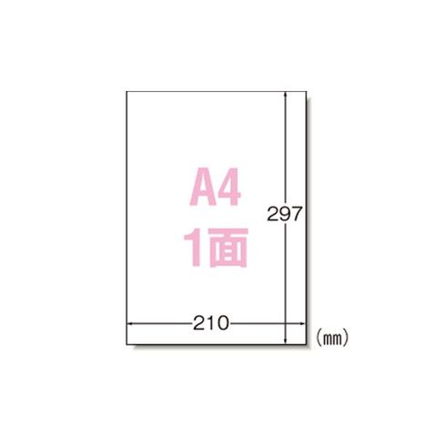 エーワン ラベルシール〈プリンタ兼用〉 マット紙 ノーカットタイプ 31151 1000枚 AV デジモノ パソコン 周辺機器 用紙 ラベル  【同梱不可】【代引不可】[▲][TP]