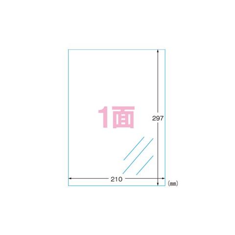 業務用セット　エーワン フィルムラベルシール A4判 光沢フィルム・透明 28791 10枚入 ×2セット 生活用品 インテリア 雑貨 文具  オフィス用品 ラベ【同梱不可】【代引不可】[▲][TP]