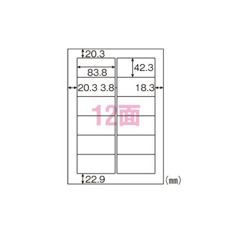 業務用セット　ヒサゴ FSC(R)森林認証紙ラベルA4タックシール A4判 100枚入 FSCGB861 ×2セット AV デジモノ パソコン  周辺機器 用紙 ラベル 【同梱不可】【代引不可】[▲][TP]