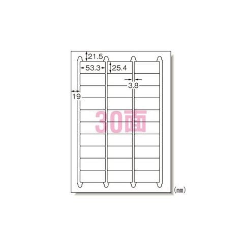 業務用セット　エーワン ラベルシール〈プリンタ兼用〉キレイにはがせるタイプ（再剥離） マット紙（A4判） 100枚入 31260 ×2セット AV  デジモノ 【同梱不可】【代引不可】[▲][TP]