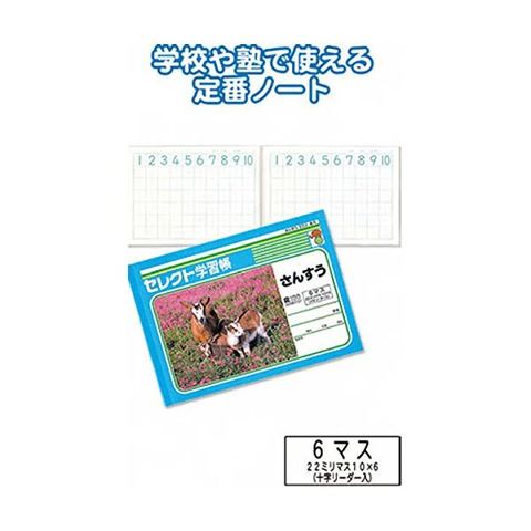 学習帳K-1さんすう6マス 10個セット 31-371 生活用品 インテリア 雑貨 文具 オフィス用品 ノート 紙製品  【同梱不可】【代引不可】[▲][TP]