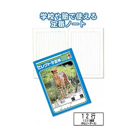 学習帳K-15国語 縦罫12行 10個セット 31-378 生活用品 インテリア 雑貨 文具 オフィス用品 ノート 紙製品  【同梱不可】【代引不可】[▲][TP]