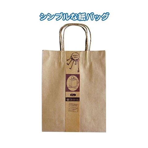 クラフト紙バッグM 2枚入（30×23×10cm） 12個セット 35-280 生活用品