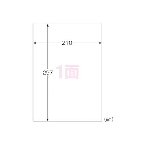 ヒサゴ 屋外用ラベル A4 ノーカット 100枚 KLP862 AV デジモノ パソコン 周辺機器 用紙 ラベル 【同梱不可】【代引不可】[▲][TP]