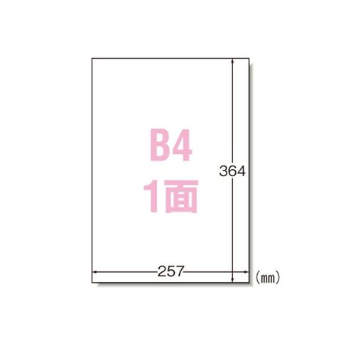 エーワン レーザープリンタラベル 1面 100シート入 28432 AV デジモノ パソコン 周辺機器 用紙 ラベル  【同梱不可】【代引不可】[▲][TP]