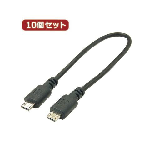 GINGER掲載商品 USB USBA-CA20DL 変換名人 10個セット 変換コネクタ