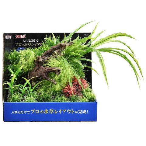 まとめ買い癒し水景 アクアキャンバス F-L Big ×2セット ホビー ペット 水槽用品 【同梱不可】【代引不可】[▲][TP]