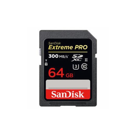 SanDisk SDSDXPK-064G-JNJIP - PC周辺機器