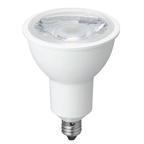 ELPA 防水型LED装飾電球 ミニボール球形 E26 G40 クリア電球色 LDG1CL