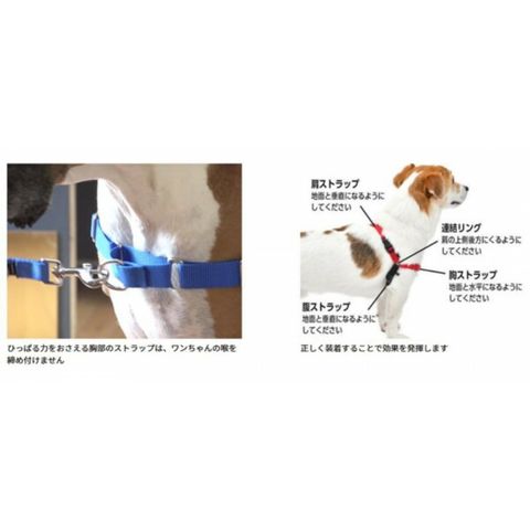 PetSafe Japan ペットセーフ イージーウォークハーネス L レッド×ブラック EWH-HC-L-RED 【同梱不可】[▲][AB]