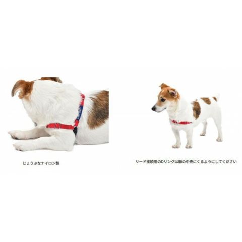 PetSafe Japan ペットセーフ イージーウォークハーネス L レッド×ブラック EWH-HC-L-RED 【同梱不可】[▲][AB]