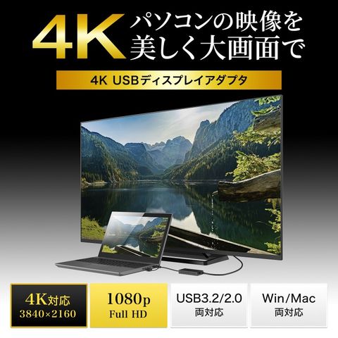 dショッピング |【サンワサプライ】USB A/Type-C両対応HDMI