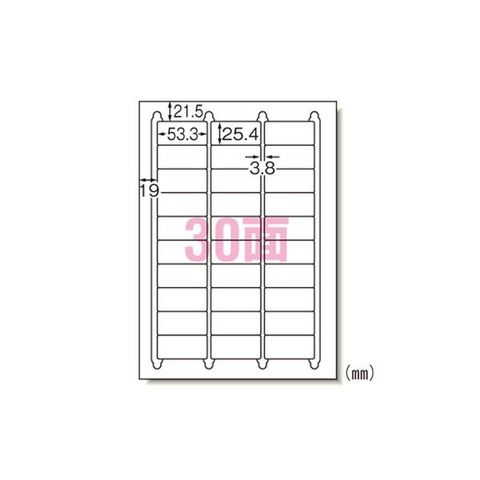 インクジェットプリンタラベル 30面 100シート 29192 【同梱不可】【代