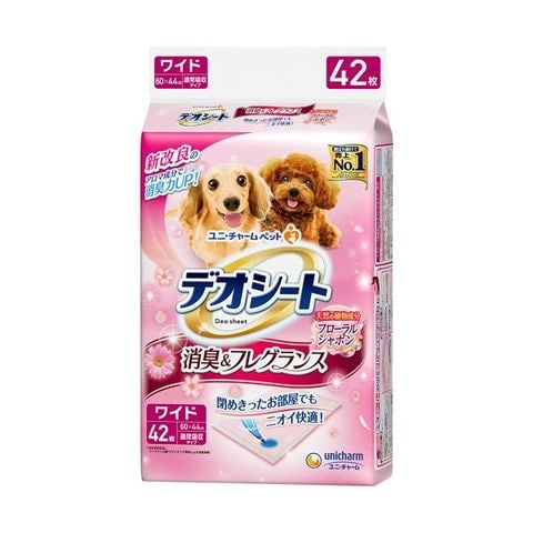 ホビナビ ANA Mall店/ペット・花・ガーデニング・DIY/犬用品(21／21