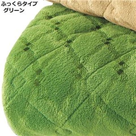 吸湿発熱 ラグマット/絨毯 【ふっくらタイプ 3畳 約190×240cm グリーン