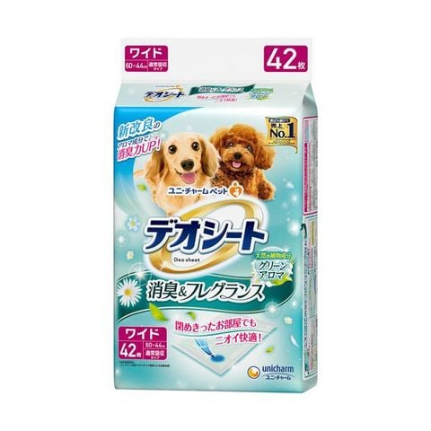 ホビナビ ANA Mall店/ペット・花・ガーデニング・DIY/犬用品(21／21