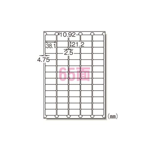 ラベルシール レーザープリンタ A4 65面 100枚入 66265 【同梱不可】【代引不可】[▲][TP]