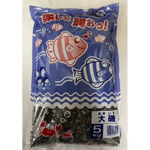 まとめ買い 大磯 5KG【×3セット】 (観賞魚/水槽用品) ペット用品 【同