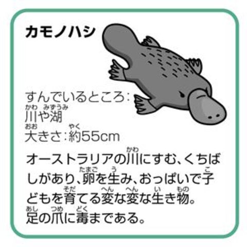 まとめ買い 業務用 変ないきものパズル【×20セット】 おもちゃ パズル【同梱不可】【代引不可】[▲][TP]