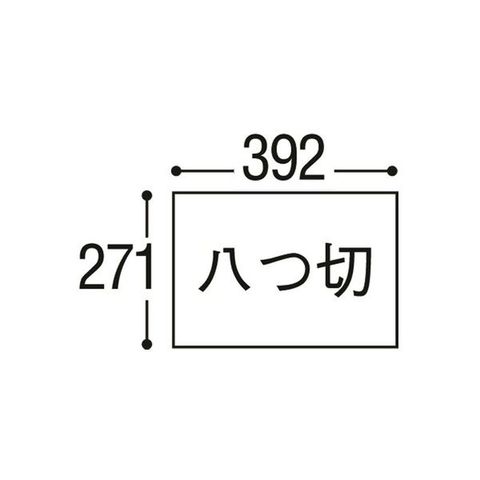 まとめ買いリンテック ニューカラーR 八つ切 うすみずいろ 8NCR-110 1