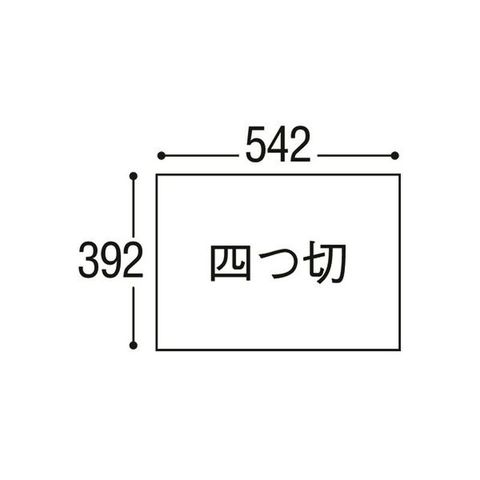 リンテック ニューカラーR 四つ切 うすちゃ 4NCR-109 1パック(100枚