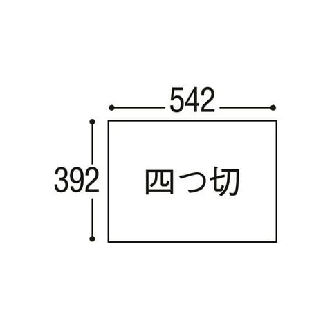 まとめ買い 業務用 リンテック ニューカラーR 四つ切 画用紙 うす