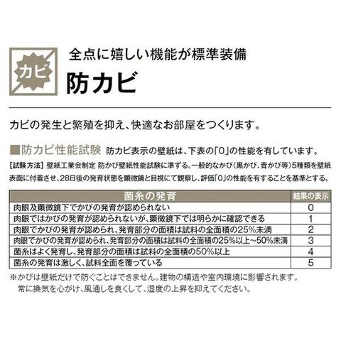 のり無し壁紙 サンゲツ SP2808 【無地貼可】 92cm巾 35m巻 おしゃれ