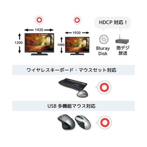 ラトックシステム DVIパソコン切替器(4台用) RS-430UDA 【同梱不可】【代引不可】[▲][TP]