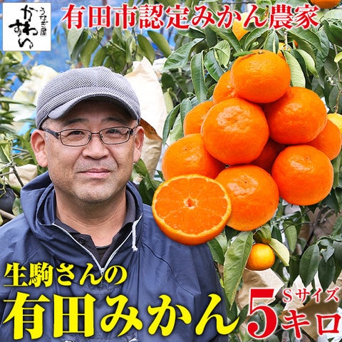 【11月中旬以降発送】生駒さんのみかん Sサイズ 5kg 擦れ・形不揃い 訳あり 数量限定 温州 有田みかん 和歌山 ミカン 蜜柑 みかん 有田市認定みかん農家