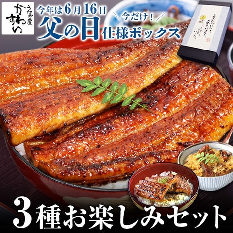 国産うなぎ蒲焼き3種 お楽しみセット