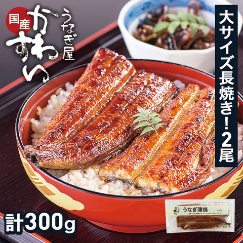 うなぎ 鰻 国産 かわすい 2尾入り(合計300g) 大サイズ 送料無料 ウナギ 蒲焼き 食品 ギフト 誕生日プレゼント 母親 父親 お取り寄せ グルメ 海鮮 人気 おすすめ  内祝 ＜のし対応可＞