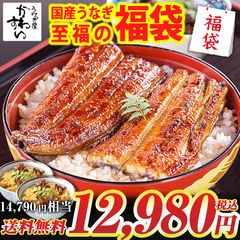 ＼数量限定！通常14790円→特別特価12980円／【国産うなぎの至福の福袋】国産 うなぎ 鰻 ウナギ 詰め合わせ 送料無料 豪華 福袋 たれ付き 山椒別売り 年末 年始 正月